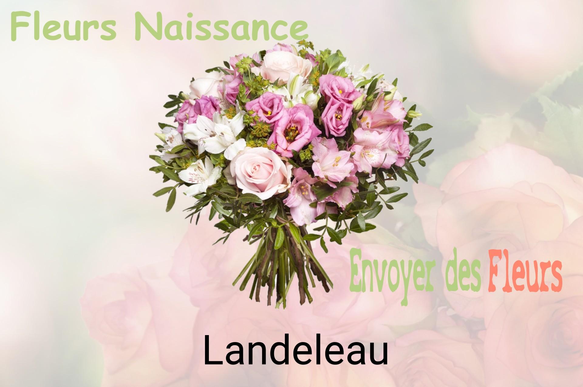 Bouquet de fleurs de naissance livré à Landeleau